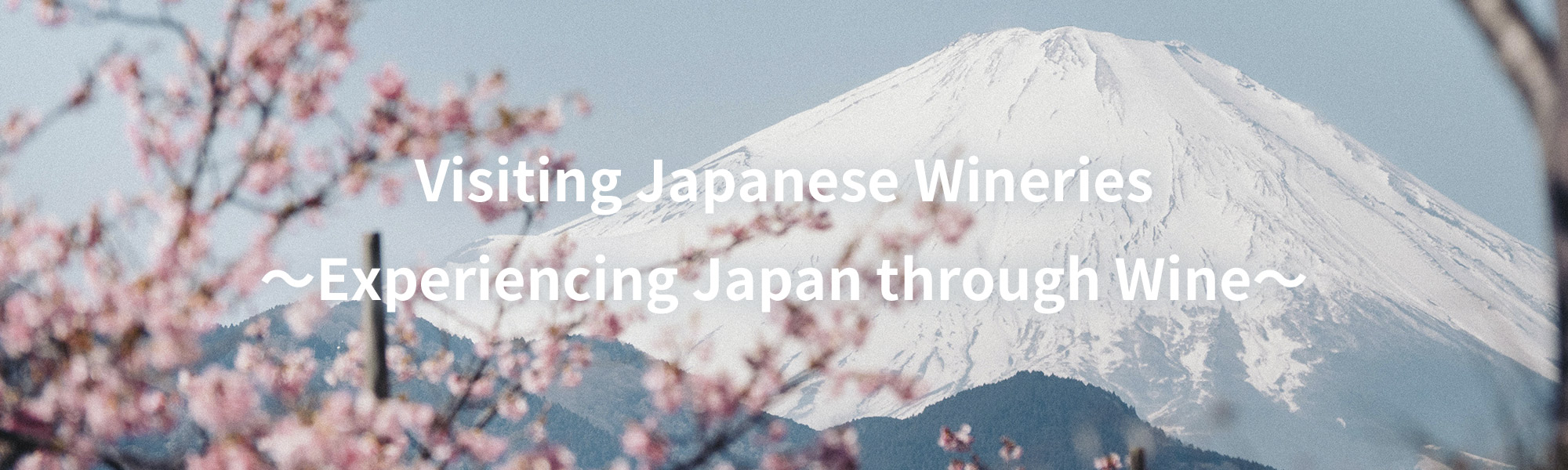 Visiting Japanese Wineries ～Experiencing Japan through Wine～